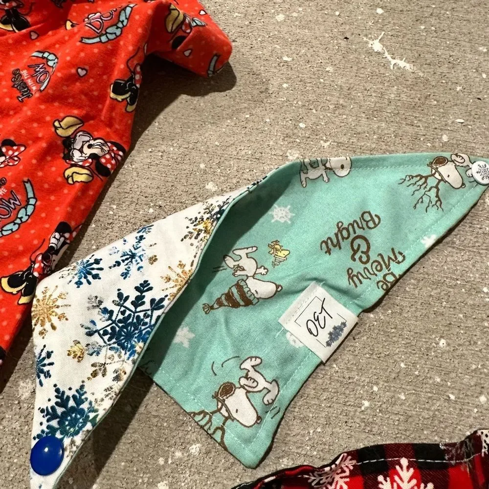 Cat bandana (2) and sweater